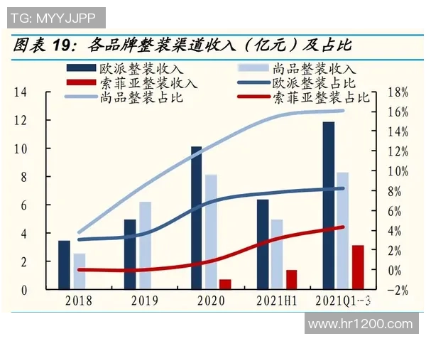 北京羽毛球队灵活性分析与战术调整的深度探讨